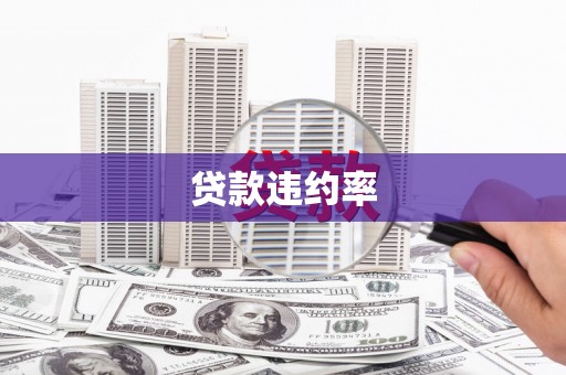大化贷款违约率