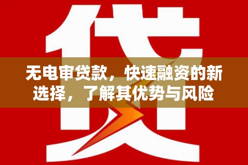 大化无电审贷款，快速融资的新选择，了解其优势与风险