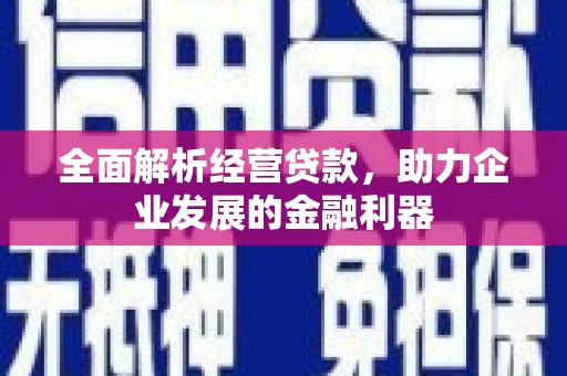 大化全面解析经营贷款，助力企业发展的金融利器