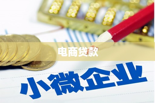 大化电商贷款