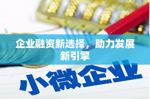 大化企业融资新选择，助力发展新引擎