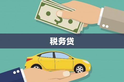 大化税务贷