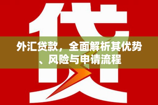 大化外汇贷款，全面解析其优势、风险与申请流程