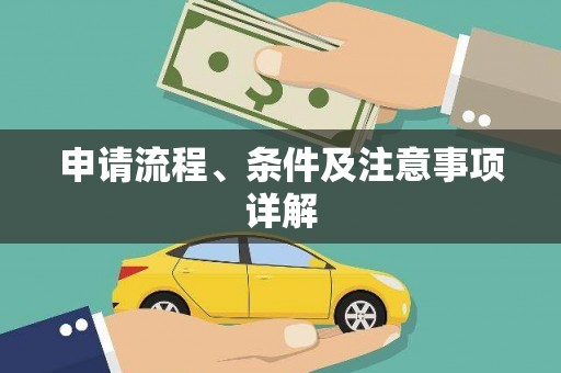 大化申请流程、条件及注意事项详解