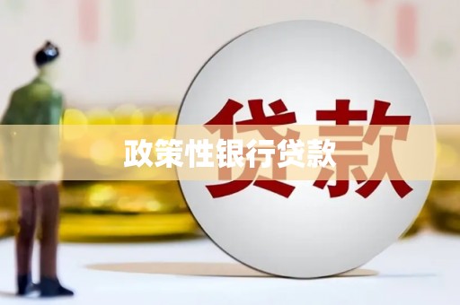 大化政策性银行贷款