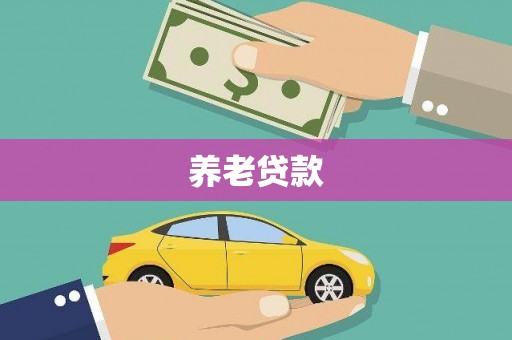 大化养老贷款