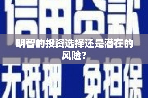 大化明智的投资选择还是潜在的风险？