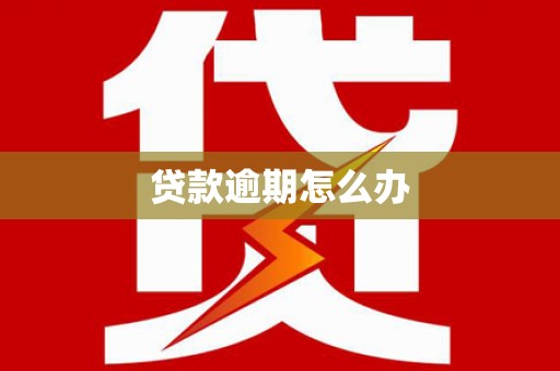大化贷款逾期怎么办