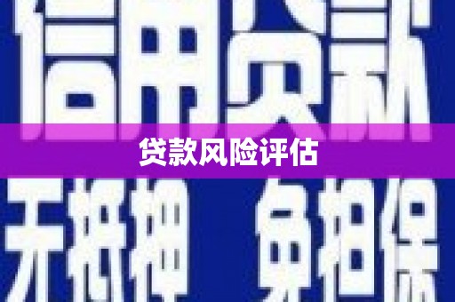 大化贷款风险评估
