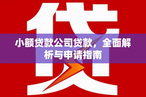 大化小额贷款公司贷款，全面解析与申请指南