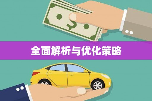 大化全面解析与优化策略