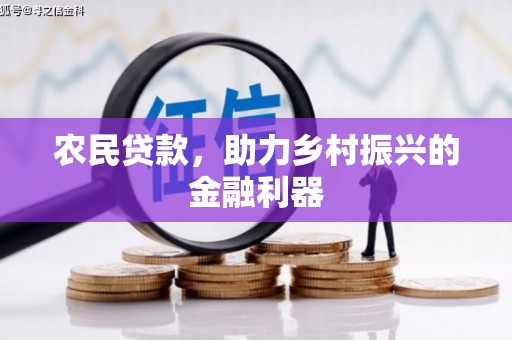 大化农民贷款，助力乡村振兴的金融利器