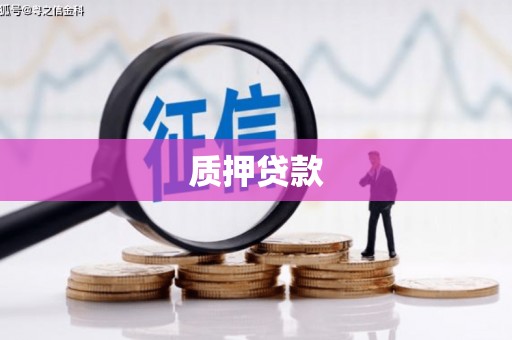 大化质押贷款