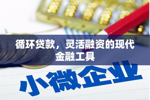 大化循环贷款，灵活融资的现代金融工具
