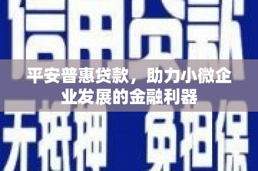 大化平安普惠贷款，助力小微企业发展的金融利器