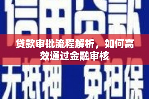 大化贷款审批流程解析，如何高效通过金融审核