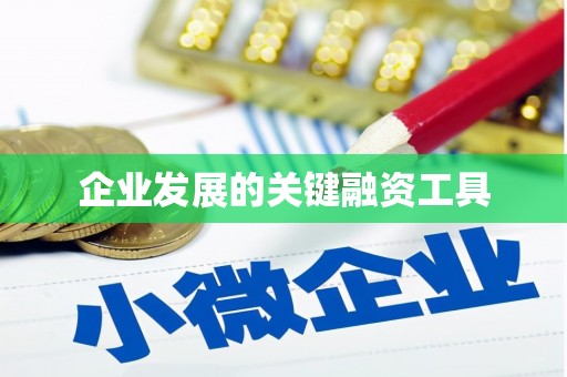 大化企业发展的关键融资工具