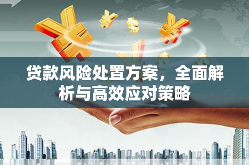 大化贷款风险处置方案，全面解析与高效应对策略
