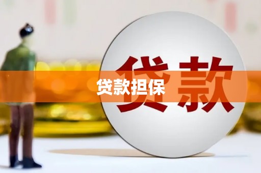 大化贷款担保