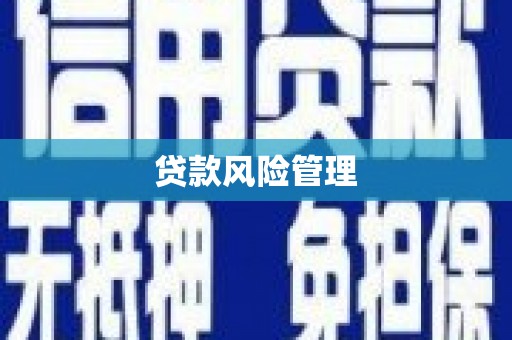 大化贷款风险管理