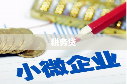 大化税务贷