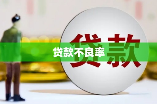 大化贷款不良率