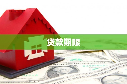 大化贷款期限