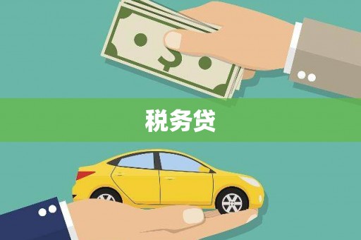 大化税务贷