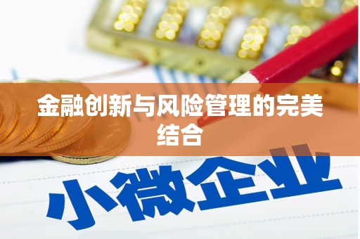 大化金融创新与风险管理的完美结合