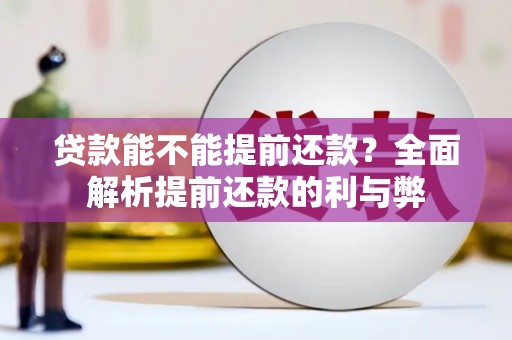大化贷款能不能提前还款？全面解析提前还款的利与弊
