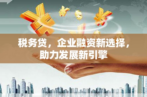 大化税务贷，企业融资新选择，助力发展新引擎