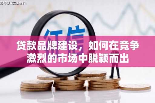 大化贷款品牌建设，如何在竞争激烈的市场中脱颖而出
