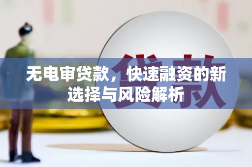 大化无电审贷款，快速融资的新选择与风险解析