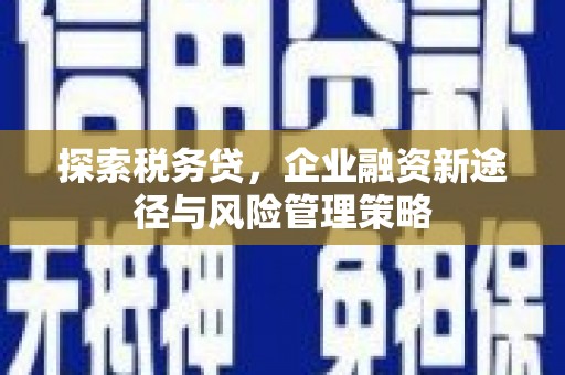 大化探索税务贷，企业融资新途径与风险管理策略