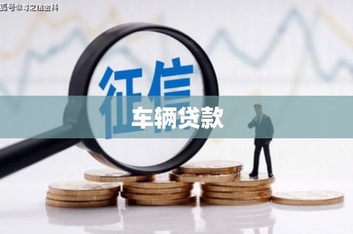 大化车辆贷款