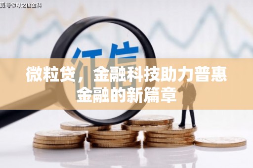 大化微粒贷，金融科技助力普惠金融的新篇章