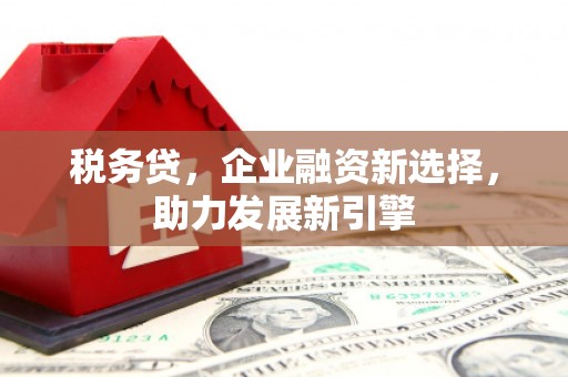 大化税务贷，企业融资新选择，助力发展新引擎