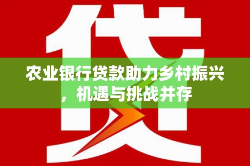 大化农业银行贷款助力乡村振兴，机遇与挑战并存
