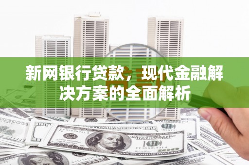 大化新网银行贷款，现代金融解决方案的全面解析