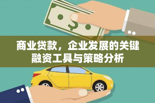大化商业贷款，企业发展的关键融资工具与策略分析