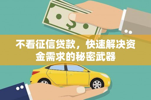 大化不看征信贷款，快速解决资金需求的秘密武器