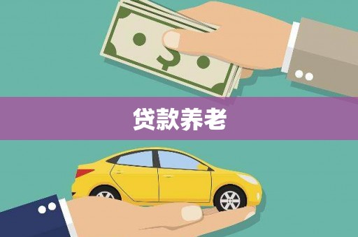 大化贷款养老