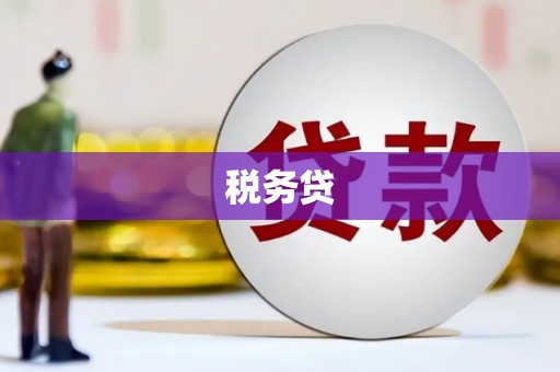 大化税务贷