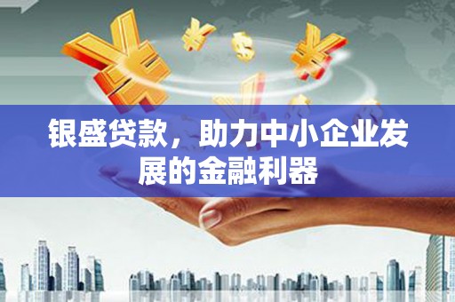 大化银盛贷款，助力中小企业发展的金融利器