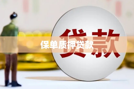 大化保单质押贷款