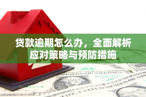 大化贷款逾期怎么办，全面解析应对策略与预防措施
