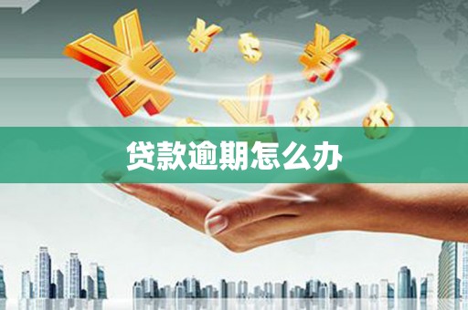大化贷款逾期怎么办