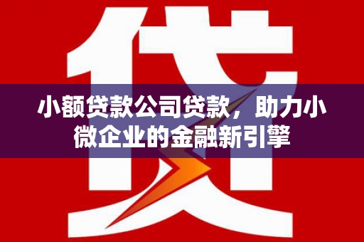 大化小额贷款公司贷款，助力小微企业的金融新引擎