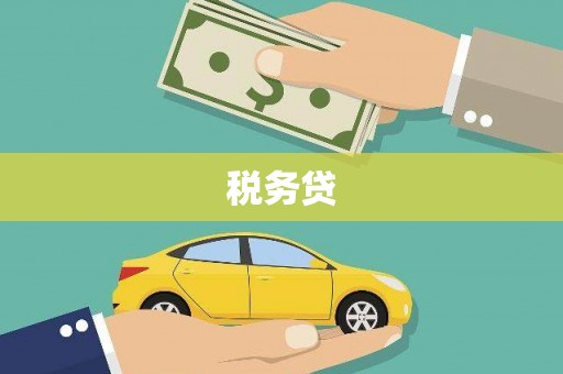 大化税务贷