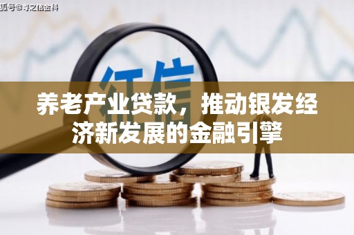 大化养老产业贷款，推动银发经济新发展的金融引擎